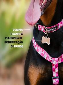Pet Leashes - Màu tím hoa cà - Xem 2