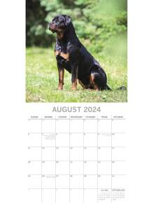 2024 Square Wall Calendar, Rottweiler, 16-Month Paw Prints Theme With 180 Reminder Stickers (12x12 In) - 彩色 - 查看 3
