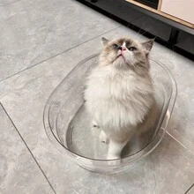 1pc Transparent Baby Bath Tub, Can Be Used For Newborn Babies, Extra Large, Can Be Used As A Wash Basin, Thickened, Large Washing Foot Basin, Thickened, Suitable For Cats, Dogs, And Litter Boxes Of Many Other Animals, Suitable For Pets Bathing And Showering, Suitable For Bathing Your Cat, Dog, Puppy, Rabbit In Order To Prevent Them From Running Away, Can Also Be Used As Litter Boxes - Clear - View 7