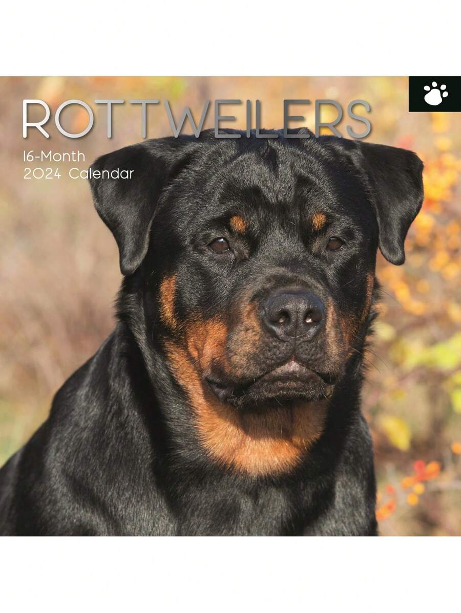 2024 Square Wall Calendar, Rottweiler, 16-Month Paw Prints Theme With 180 Reminder Stickers (12x12 In) - 彩色 - 查看 1