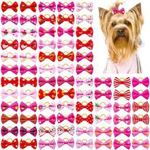 10入組寵物狗彈性頭帶,狗美容髮結夾配件 - 彩色 - 查看 1