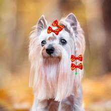 10入組寵物狗彈性頭帶,狗美容髮結夾配件 - 彩色 - 查看 4