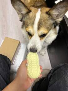 1個狗tpr模擬花生耐咬磨牙互動吱吱叫寵物玩具,減壓工具 - 米色 - 查看 5