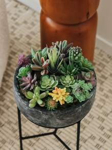 2/5/10 piezas Plantas suculentas artificiales - Plantas falsas de primera calidad - Suculentas con doble flocado - Cactus con textura realista - Plantas suculentas con rostro - Mini suculentas falsas - Decoración con plantas con rostro, Día de San Valentín, Regalo