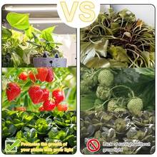 1/2/3/4 顆led 植物生長燈,適用於室內植物,40w 植物燈帶自動開/關定時器,192 個led /144 個led/96 個led/48 個led,4 個可調光級別,適合多肉植物、幼苗、室內的植物燈條溫室、植物架 - 30公分 11.8英寸 - 查看 7