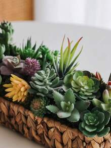 2/5/10 piezas Plantas suculentas artificiales - Plantas falsas de primera calidad - Suculentas con doble flocado - Cactus con textura realista - Plantas suculentas con rostro - Mini suculentas falsas - Decoración con plantas con rostro, Día de San Valentín, Regalo