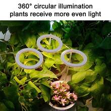 1個usb插頭植物燈,led植物生長燈全光譜室內天使環植物燈,家用多肉花卉種植燈,植物日光/ultraviolet/紅藍光 - 白色 - 查看 4