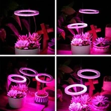 1個usb插頭植物燈,led植物生長燈全光譜室內天使環植物燈,家用多肉花卉種植燈,植物日光/ultraviolet/紅藍光 - 白色 - 查看 9