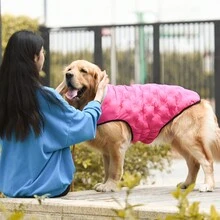 1pc Pet Clothes Winter Padded Coat For Medium And Small Dogs(random Color) - Multicolor - View 1