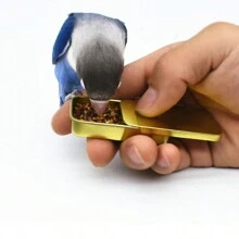 1入手持式鸚鵡餵食器,帶有彩色訓練碗 - 絕佳的鳥類寵物用品 - 金色 - 查看 1