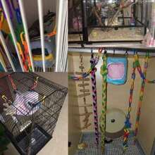 100 Pièces Chaîne En Plastique Pour Jouets D'oiseaux, Crochet De Chaîne Diy "c" De Couleur Arc-en-ciel Pour Jouets De Cage À Balançoire Et D'escalade Pour Sucrier, Souris, Perroquet Et Oiseau