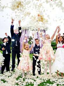 500/1000/2000/5000 PCS Artificial Silk Rose Petals for Valentine Day Wedding Party Toss Silk Flower Petal Romantic Home Bedroom Decoration - White - View 9