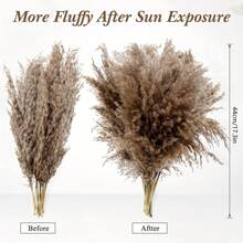 40pcs Dried Pampas Grass, Natural Fluffy Pampas, Bohemian Wedding Party And Home Decoration (17 Inches), Table Decoration,Centerpieces,Artificial Flowers,Plastic Flowers, Valentine Day, Gift Gifts Birthday Graduation