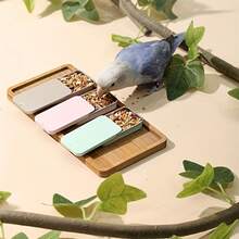 1入手持式鸚鵡餵食器,帶有彩色訓練碗 - 絕佳的鳥類寵物用品 - 金色 - 查看 10