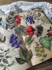 20pcs/1pack Vintage Plants Flower Decorative PET Leaves Stickers Retro Diy Handbook Material Scrapbooking Label Diary Journal Planner - Multicolor - View 2