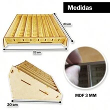 Rockkings Contenedor Organizador Contador Monedas Marimba Mdf Madera - Beis - Ver 4