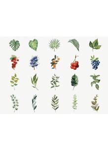 20pcs/1pack Vintage Plants Flower Decorative PET Leaves Stickers Retro Diy Handbook Material Scrapbooking Label Diary Journal Planner - Multicolor - View 7