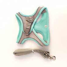 小型犬胸帶,寵物背部牽引繩,透氣反光寵物戶外背心 - 薄荷藍 - 查看 4