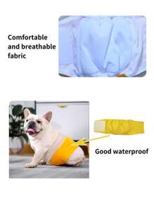 1入可重複使用洗滌寵物生理褲 - 黃色 - 查看 4