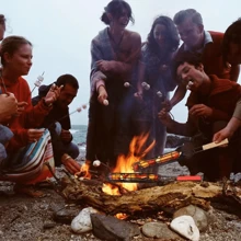 1入組家用不銹鋼蔬菜燒烤網籃手持式燒烤夾，戶外燒烤工具