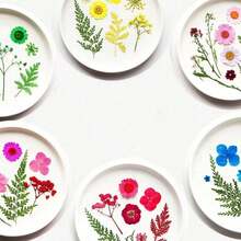 21入組/包鄉村風格乾燥花材,用於製作珠寶、蠟燭、書籤及植物標本diy裝飾材料,浪漫女友禮物,家居求婚 - 田園桃色 - 查看 4