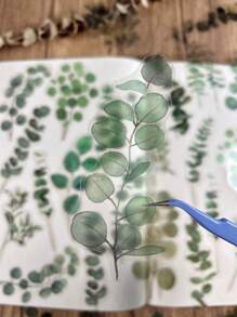 一包 40 張植物花卉和水果貼紙 Diy 裝飾剪貼簿材料相簿日記規劃器 - 彩色 - 查看 6