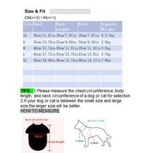 1 件寵物冬季服裝 - 保暖胡蘿蔔服裝,適合狗狗、泰迪熊、柯基犬、博美犬和貓 - 橘色 - 查看 2