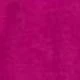 Fúcsia