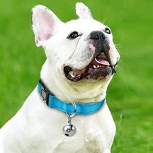 Chó Đi dạo 3 cái/bộ - Chuông Vòng cổ Dây xích Bộ dụng cụ , Phản chiếu An toàn Sự cách ly Vòng cổ , Có thể điều chỉnh , Đối với Nhỏ/Trung bình/Lớn Chó , Xanh - Màu xanh lam - Xem 8