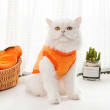 1 件寵物冬季服裝 - 保暖胡蘿蔔服裝,適合狗狗、泰迪熊、柯基犬、博美犬和貓 - 橘色 - 查看 5