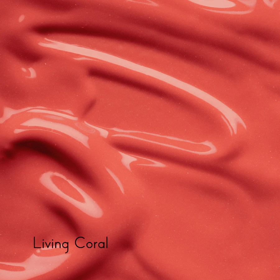 Liquid Lipstick - Ver 1