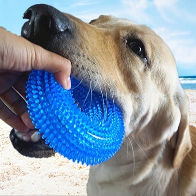 Pet Toy Bite-Resistant Sounding Toy Ball