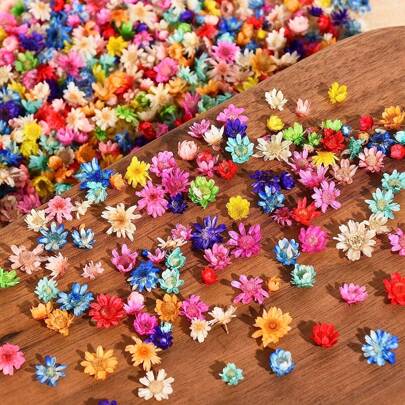 200pcs Mixed Colorful Small Dried Flowers Bulk/60PCS/120PCS Big Star Flowers For Resin Molds Project Casting Jewelry Candles Soap Making Nail Art Charms