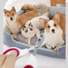 1入組寵物指甲剪,鋒利的不銹鋼指甲剪,具備1孔/2孔,適用於剪狗貓鳥兔以及其他寵物的指甲,修剪寵物指甲而設計的理容工具,隨機顏色 - 彩色 - 查看 8