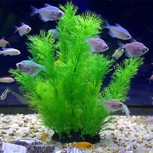 1入/2入水族箱植物裝飾品塑料仿真人造水草魚缸裝飾配件 - 綠色 - 查看 2