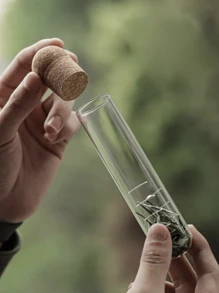 1 pièce/2 pièces Filtre à thé en verre borosilicaté haute résistance avec tube pour la maison, le bureau, pour séparer le thé et filtrer les feuilles de thé, retour à l'école