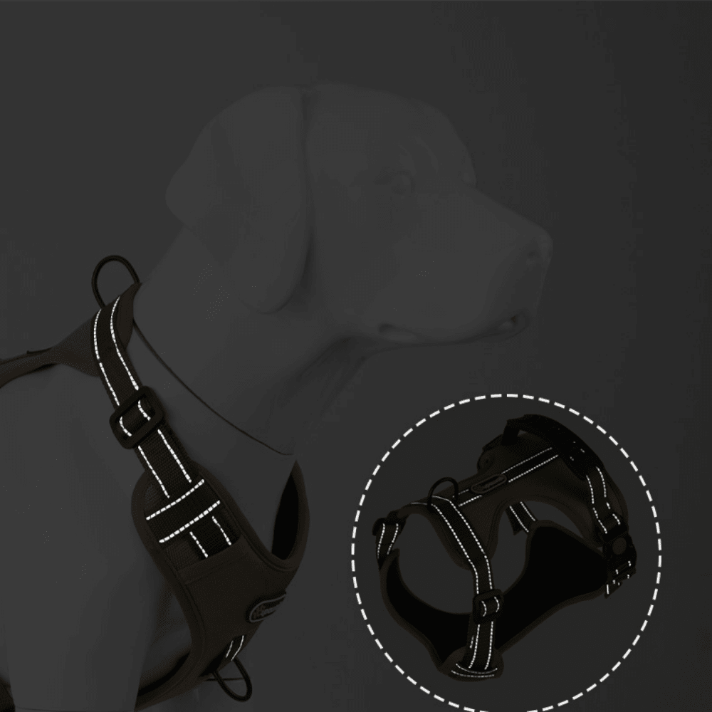 The New Pet Chest And Back Belt Is A Reflective, ExplosionProof, And