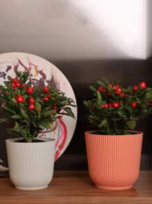 1pc Simple Nordic Style Round Flower Pot With Large Caliber And Thickened Material For Succulent Plants