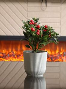 1pc Simple Nordic Style Round Flower Pot With Large Caliber And Thickened Material For Succulent Plants