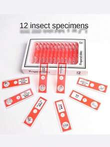 1 盒显微镜载玻片配件，含生物标本塑料载玻片昆虫。蝴蝶，干细胞科学实验 - 紅色 - 查看 3
