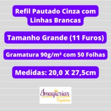Refil Pautado Cinza com Linhas Brancas 90g ou 120g para Caderno Inteligente | Tamanho Inteligine, A5, Médio ou Grande | Folhas com Linhas Pauta Branca| Refil para Caderno de Discos | Papel para Caderno Reposicionável | Folha Cinza com Linhas Brancas | Gramatura Alta | Original Oficial - Grande 90g - Visão 2