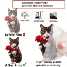 1pc Valentine'S Day Pendant, Rose Flower & Cat Shaped Decoration, Gift For Lovers, Car Interior Rear View Mirror Hanging Pendant, 2d Key Chain Pendant, Handbag Pendant, Birthday Gift, Gift Box Packaged - Multicolor - View 7