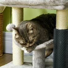 PawHut Small Cat Tree for Indoor Cats, Cat Scratching Post with Bed, Self Groomer, Toy - Grey - Gris - Voir 9