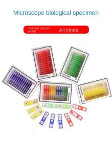 1 盒显微镜载玻片配件，含生物标本塑料载玻片昆虫。蝴蝶，干细胞科学实验 - 紅色 - 查看 2