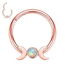 1 Miếng 16G Vòng mũi Vòng CZ Opal 316L Thép y tế Hoa tai Septum Bản lề Bộ phận Vòng Môi Xỏ lỗ tai Đồ trang sức , Vỏ sò Nhẫn , Xoắn ốc Nghiên cứu , Xuyên , Xuyên Giường đôi tiêu chuẩn , Hạt tai Septum Nhẫn - Bạc - Xem 3