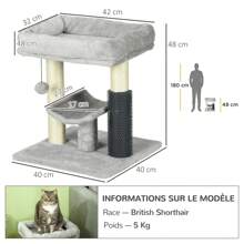 PawHut Small Cat Tree for Indoor Cats, Cat Scratching Post with Bed, Self Groomer, Toy - Grey - Gris - Voir 3