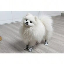 Zapatos Para Perros Anti Calor Transpirable Para Mascotas