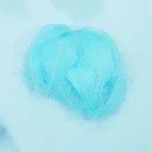 10-500入組/袋羽毛和鵝毛裝飾品,適用於捕夢網,燈飾,波毛球,diy手工藝品,美麗的馬卡龍色系 - 淺藍 - 查看 3