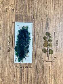 一包 40 張植物花卉和水果貼紙 Diy 裝飾剪貼簿材料相簿日記規劃器 - 彩色 - 查看 2