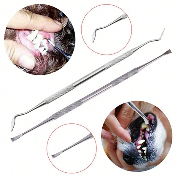 Pets Teeth Cleaning Tools Dogs Tartar Remover Dental Stones Stainless Steel Scraper